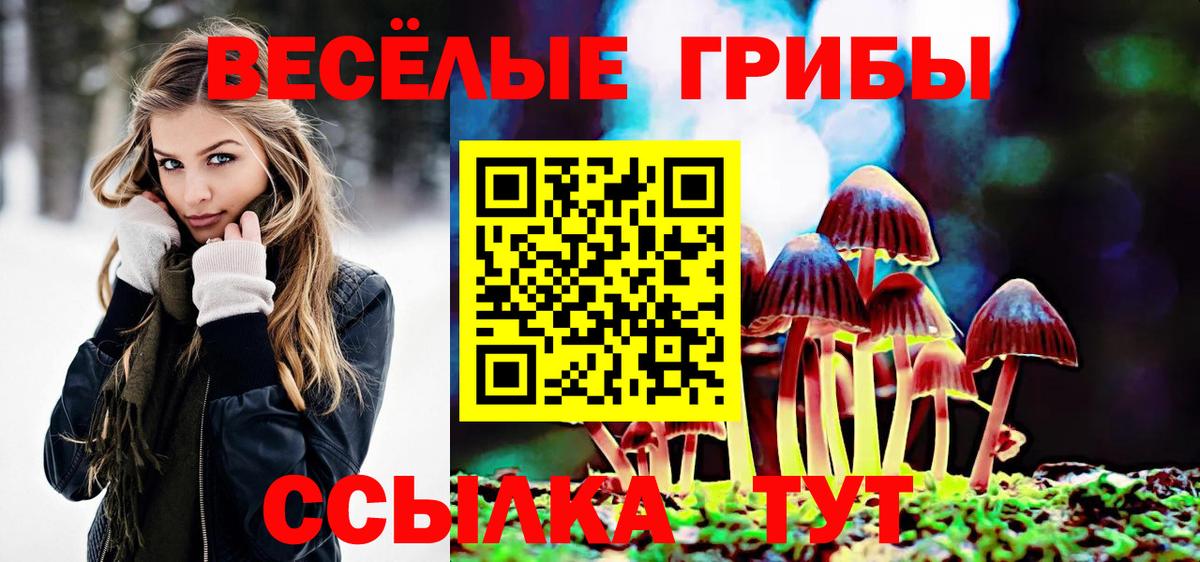 Кинешма  Псилоцибиновые грибы MAGIC MUSHROOMS  Вход с VPN  Псилоцибиновые грибы GOLDEN TEACHER 