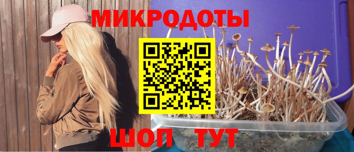 Псилоцибиновые грибы мицелий Кинешма
